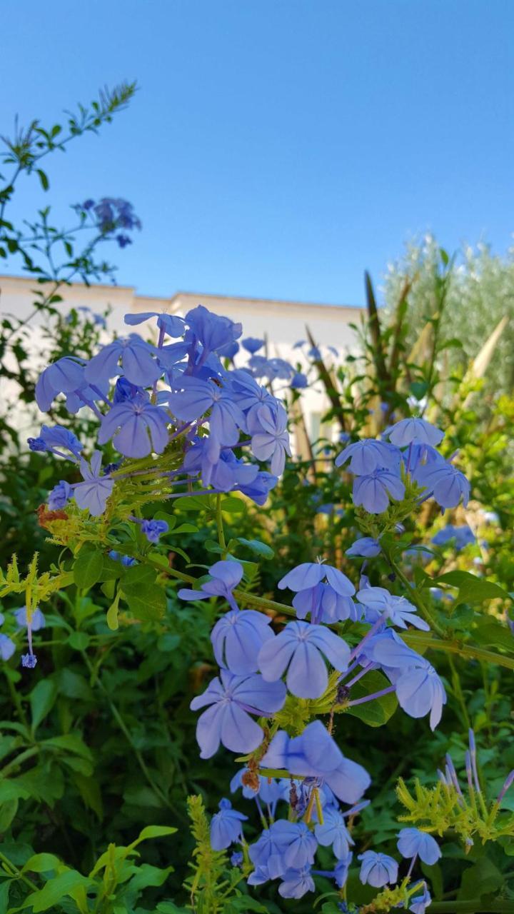The Proud Garden Bed & Breakfast Carovigno Exterior photo